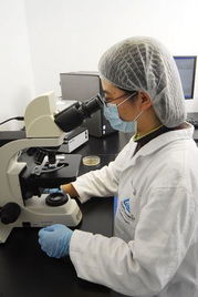 莱茵技术商检青岛食品实验室 技术创新与交流的视觉之旅