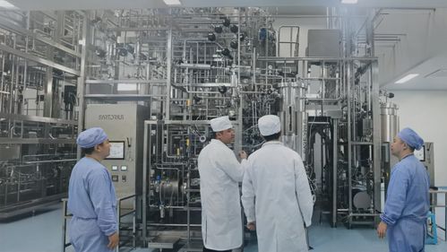 天鹜科技与金赛药业携手实现全球首款经大模型设计蛋白质产品的工业化生产落地