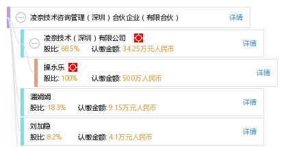凌奈技术咨询管理（深圳）合伙企业（有限合伙） 技术赋能与合规运营探析